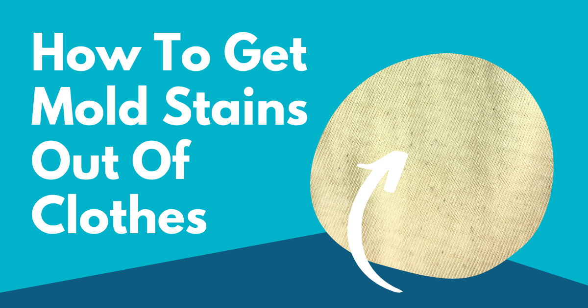 how-to-get-mold-stains-out-of-clothes-tidy-diary