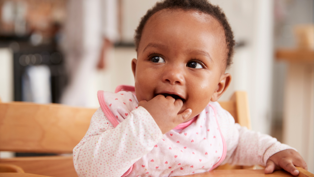 Care Guide For Bibs How To Wash And Store Tidy Diary