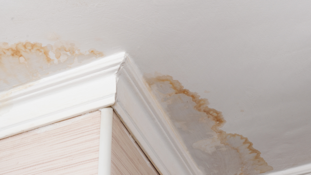 ceiling water damage