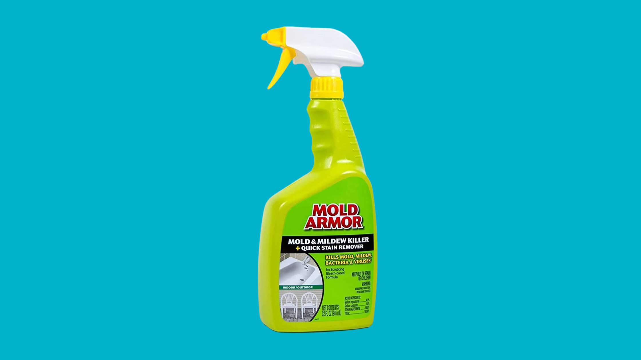 Mold Armor Stain Remover