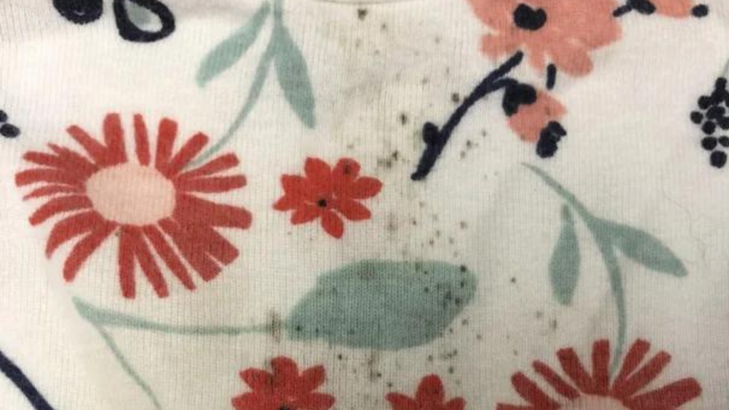 How To Remove Mold Stains From Fabric Reddit