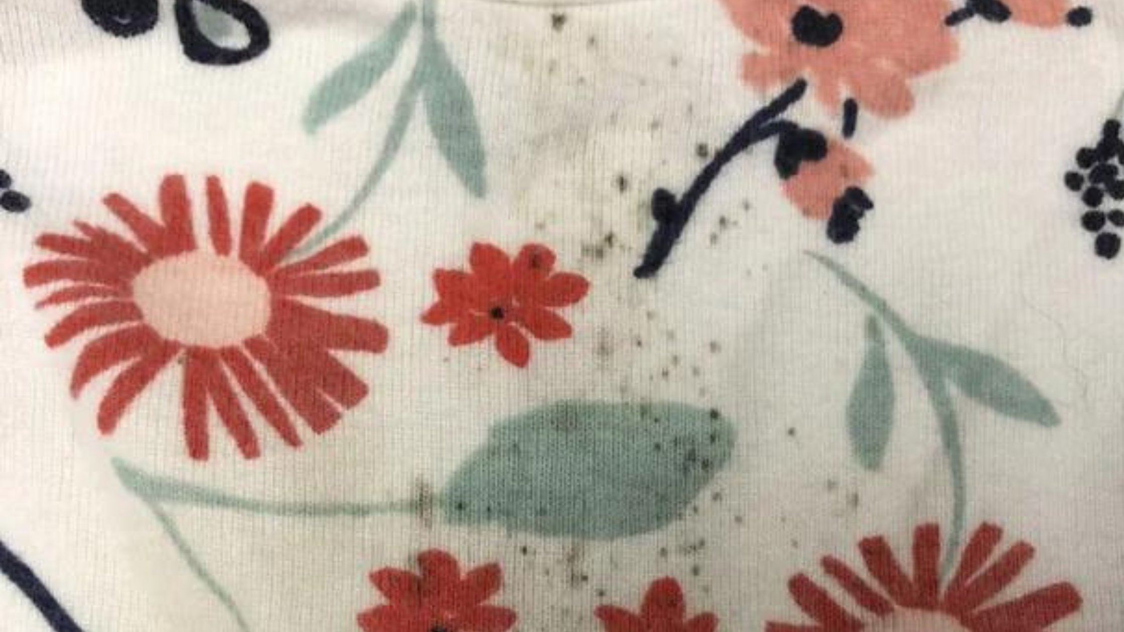 How To Remove Mold Stain From Washable Fabrics Tidy Diary